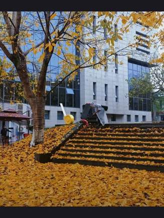 7e7efb1e72da80af707d265bd76e51d5