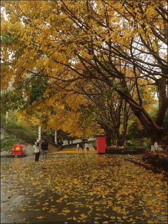 e000c4a41157323f21dec55b88c5b672